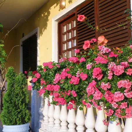 Vladislav Опатия