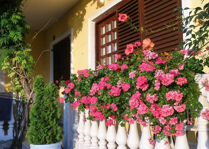 Vladislav 오파티아