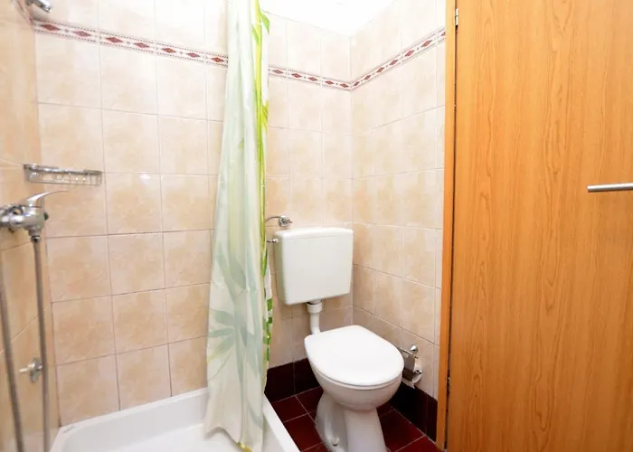 Vladislav * 오파티아