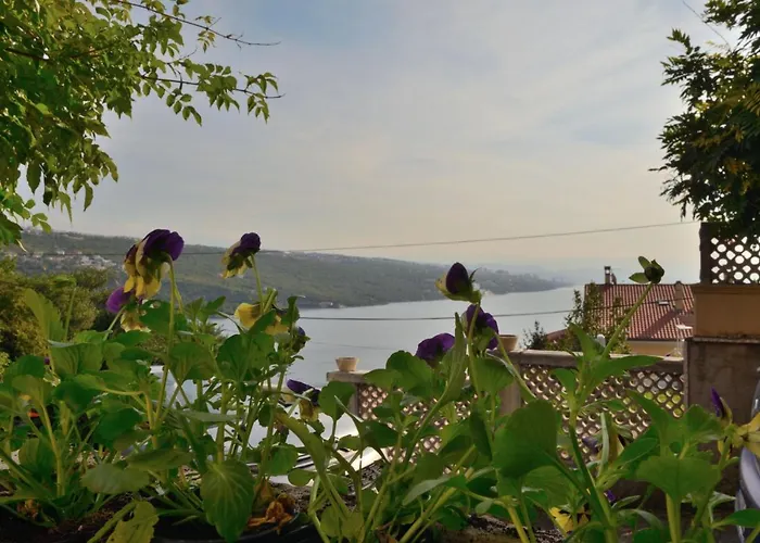 Vladislav 오파티아