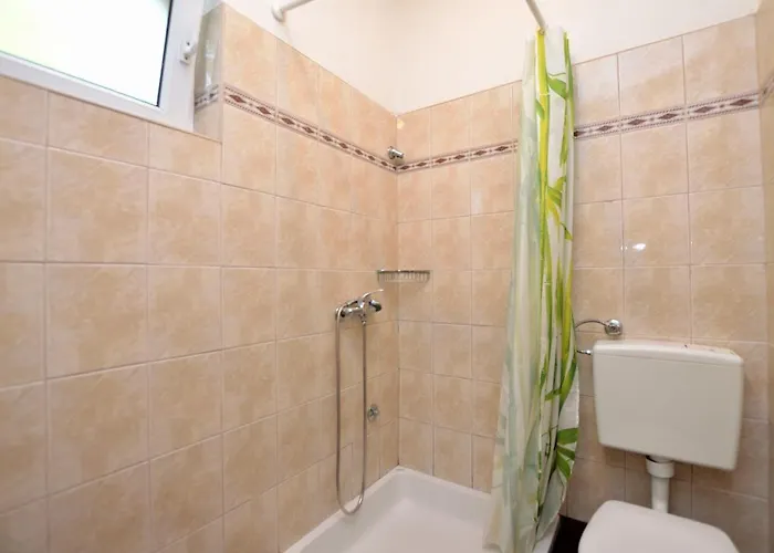 Vladislav Опатия