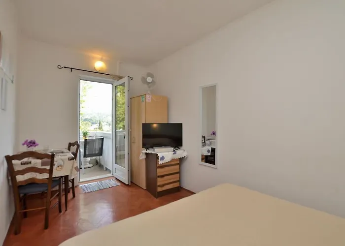 Vladislav 오파티아